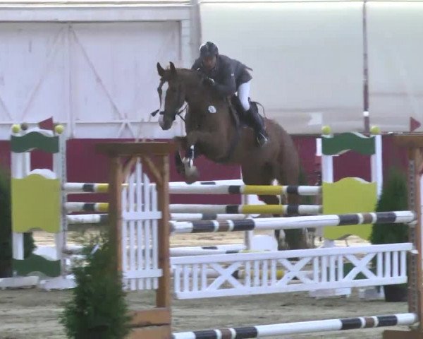 Reitturnier Trier - Hofgut Monaise 2016