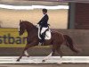 dressage horse Ballentines L (Hanoverian, 2011, from Belissimo NRW)