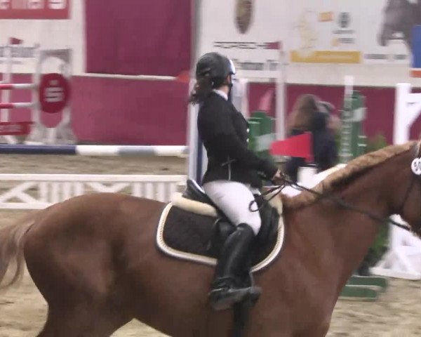 Reitturnier Trier - Hofgut Monaise 2016