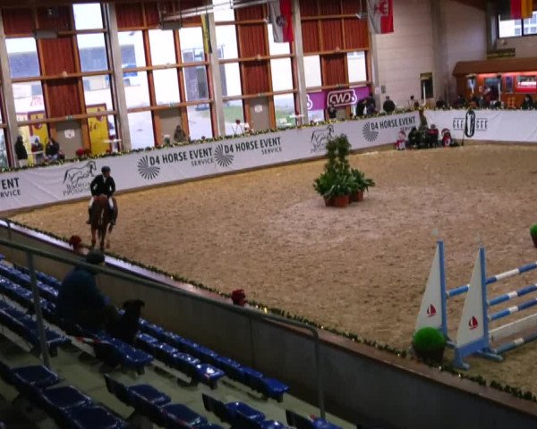 Christmas Jumping Trophy Prussendorf 2021