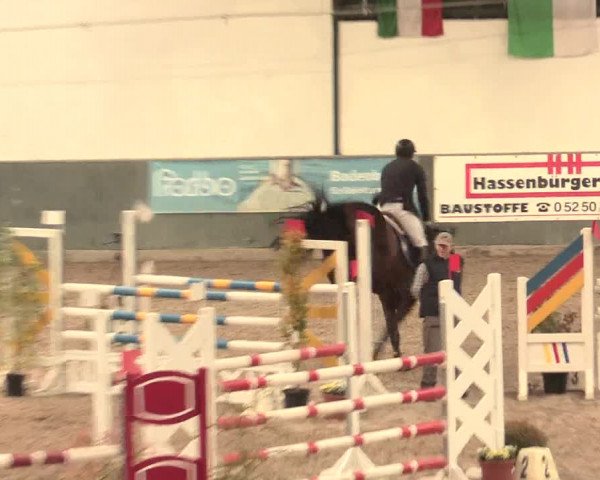 16. Salzkottener Pferdefestival 2016
