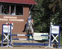 jumper Carducci 10 (Rhinelander, 2010, from Cassone)