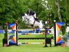 jumper Carisma Can Fly (Hanoverian, 2009, from Chalet)