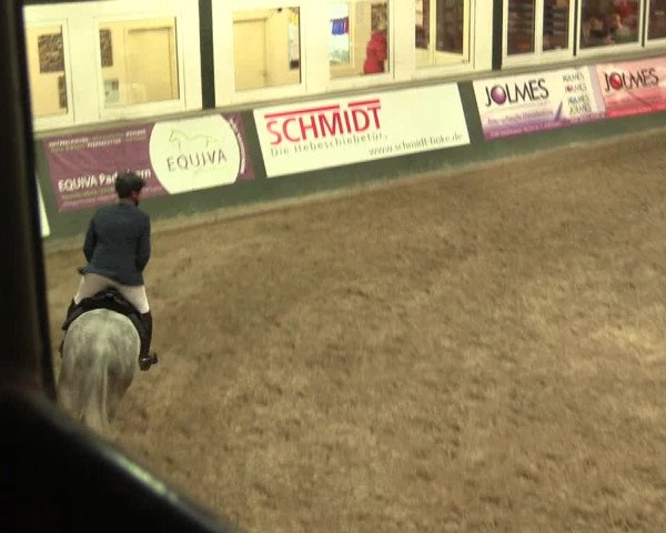16. Salzkottener Pferdefestival 2016