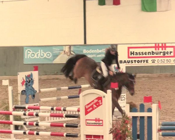 16. Salzkottener Pferdefestival 2016