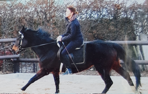 broodmare Pique´ (Rhinelander, 1995, from Pacco II)