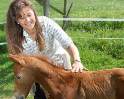 horse Petit Coeur (Oldenburger, 2009, from Laureano)