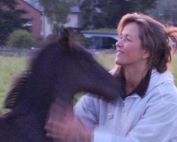 dressage horse Gloria (Oldenburger, 2009, from Rubinero 2)