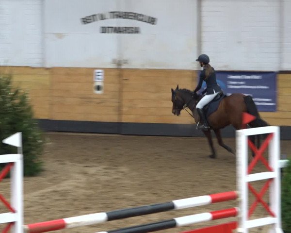 Reitturnier Heide 2021