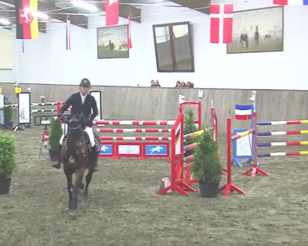 Reitturnier St. Peter Ording 2016