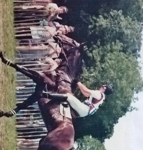 horse Gallus (Mecklenburg, 1981, from Grollus xx)