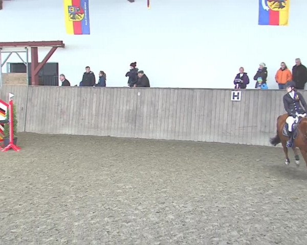 Reitturnier St. Peter Ording 2016