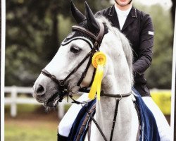 jumper Capriccio (Bulgarian Warmblood, 2011, from Pikeur Carre)