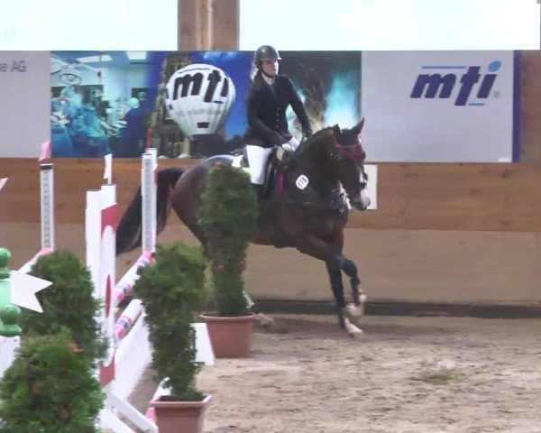 Springturnier Langenau 2016