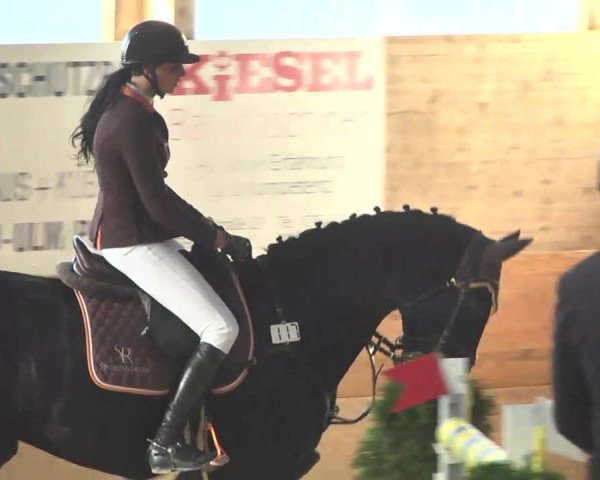 Springturnier Langenau 2016