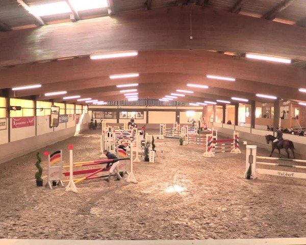 Hallenturnier Vlotho-Valdorf 2016