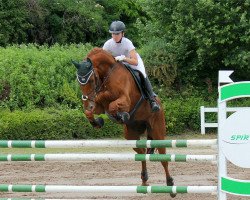 jumper Louana 3 (Hanoverian, 2007, from Londonderry)