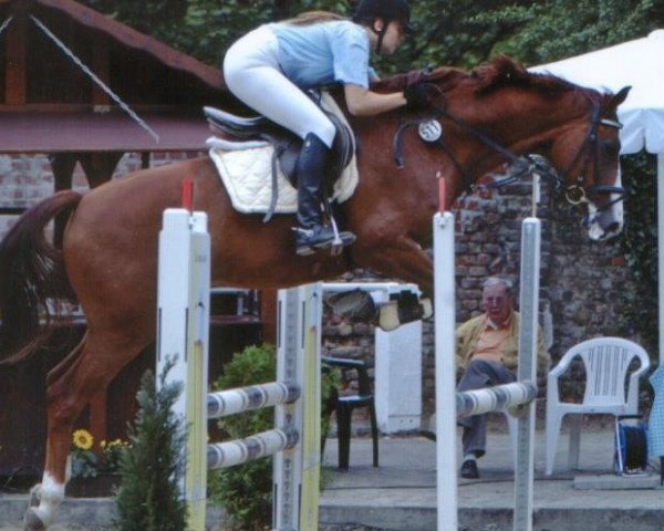 dressage horse A la Angard (Hessian Warmblood, 1995, from Angard)