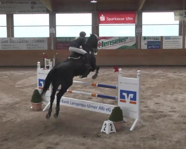 Springturnier Langenau 2016