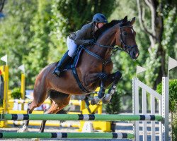 jumper E.w. Kassandra CH (Swiss Warmblood, 2005, from Karondo vom Schlösslihof)