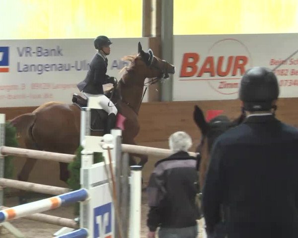 Springturnier Langenau 2016