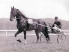 stallion Roland (NL) (Traber, 1950, from Parisien (FR))