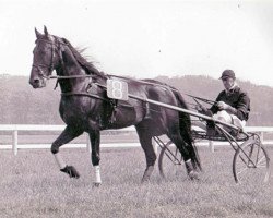 Deckhengst Roland (NL) (Traber, 1950, von Parisien (FR))