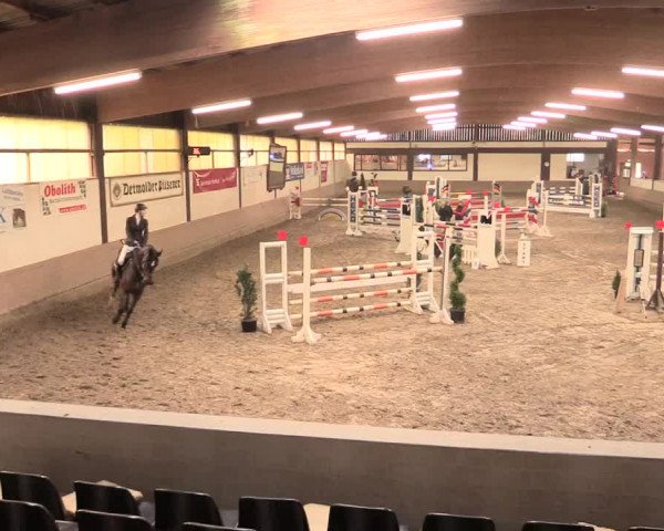 Hallenturnier Vlotho-Valdorf 2016
