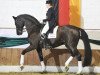 dressage horse De Niro (Hanoverian, 1993, from Donnerhall)