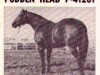 stallion Pudden Head (Quarter Horse, 1951, from Little Jodie)