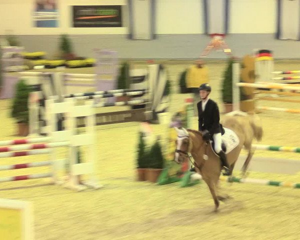Legdener Ponymeeting 2016