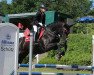 dressage horse Royale Soleil (Oldenburg, 2005, from Rubinero 2)