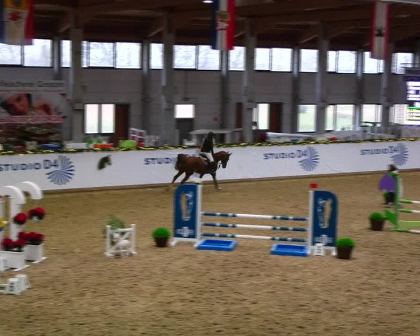 Christmas Jumping Trophy Prussendorf 2021
