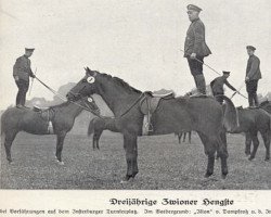 Deckhengst Ilion (Trakehner, 1928, von Dampfross)