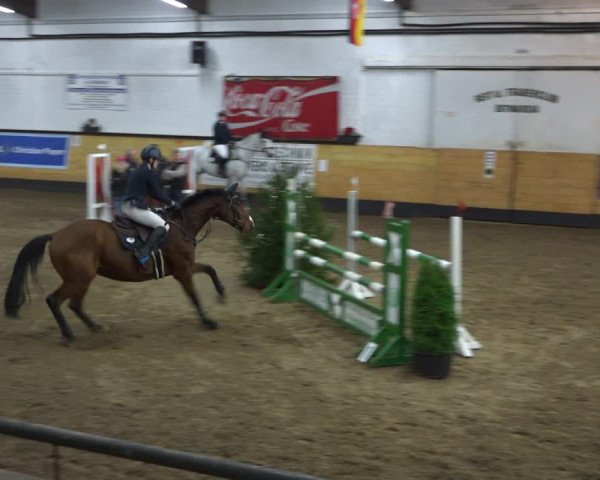 Reitturnier Heide 2021