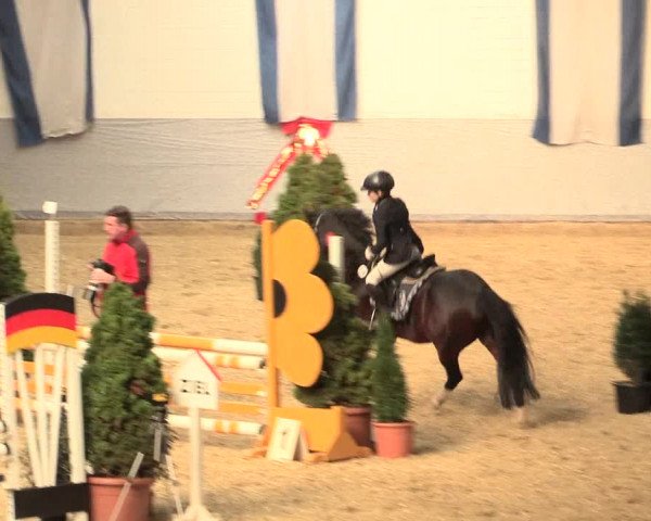 Legdener Ponymeeting 2016
