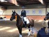 dressage horse Fleur d Amour (Oldenburg, 2007, from Fidertanz)