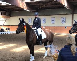 dressage horse Fleur d Amour (Oldenburg, 2007, from Fidertanz)