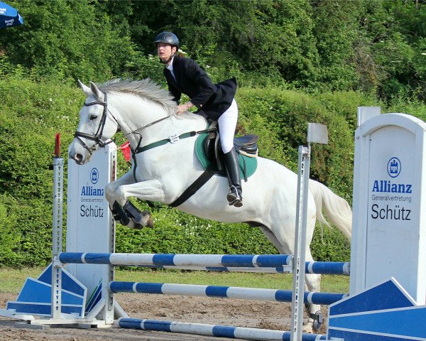 jumper Mountain Foot (Irish Sport Horse, 2007)