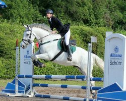 Pferd Mountain Foot (Irish Sport Horse, 2007)