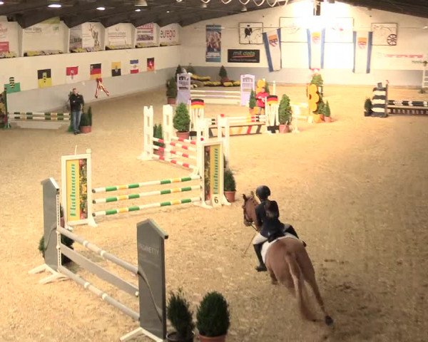 Legdener Ponymeeting 2016