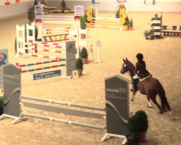 Legdener Ponymeeting 2016