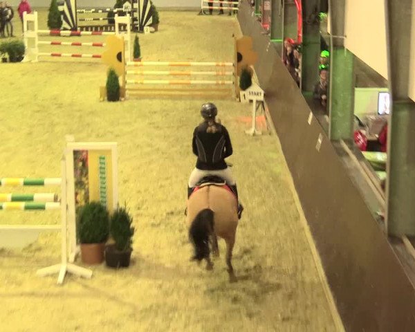 Legdener Ponymeeting 2016
