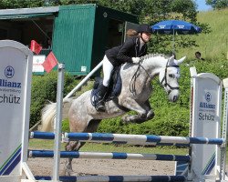 dressage horse Coco Channell (Pony without race description, 2013, from Anbally Frankie)