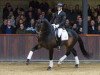 dressage horse Kardam's Whisper (KWPN (Royal Dutch Sporthorse), 2015, from Glock's Toto Jr.)