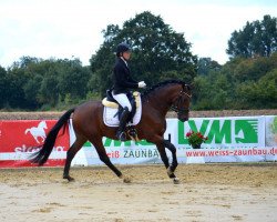 dressage horse Der grosse Gatsby 2 (German Riding Pony, 2015, from D-Day AT)