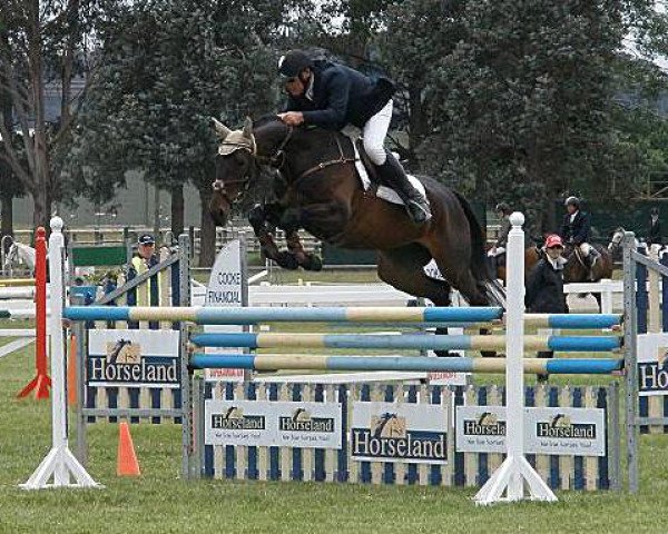 Pferd Oaks Zena (Australisches Warmblut, 2004, von Warlord II)