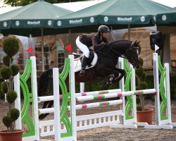 jumper Valentino 378 (German Riding Pony, 2013, from Viktor)