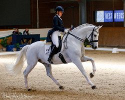 dressage horse FBW Fairplay H (Württemberger, 2009, from Fürst Hohenstein)