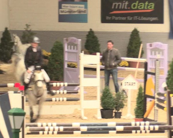 Legdener Ponymeeting 2016